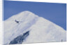 Ski Plane near Mount McKinley Base Camp by Anonymous