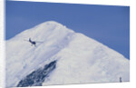 Ski Plane near Mount McKinley Base Camp by Anonymous