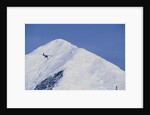 Ski Plane near Mount McKinley Base Camp by Anonymous