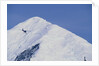 Ski Plane near Mount McKinley Base Camp by Anonymous