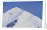 Ski Plane near Mount McKinley Base Camp by Anonymous