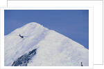 Ski Plane near Mount McKinley Base Camp by Anonymous