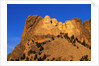 Morning Light on Mount Rushmore Memorial by Anonymous