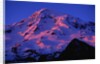 Sunset Alpenglow on Mount Rainier by Anonymous