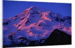 Sunset Alpenglow on Mount Rainier by Anonymous