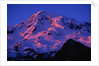 Sunset Alpenglow on Mount Rainier by Anonymous