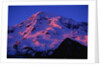 Sunset Alpenglow on Mount Rainier by Anonymous
