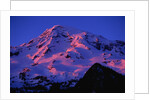 Sunset Alpenglow on Mount Rainier by Anonymous
