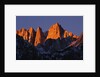 Morning Light on Mount Whitney by Anonymous