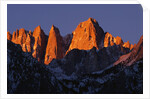 Morning Light on Mount Whitney by Anonymous
