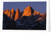 Morning Light on Mount Whitney by Anonymous