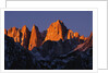 Morning Light on Mount Whitney by Anonymous