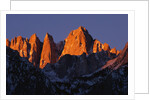 Morning Light on Mount Whitney by Anonymous