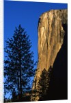 Sunlight Shining on El Capitan by Anonymous