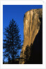 Sunlight Shining on El Capitan by Anonymous