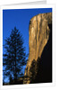 Sunlight Shining on El Capitan by Anonymous