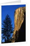 Sunlight Shining on El Capitan by Anonymous