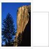 Sunlight Shining on El Capitan by Anonymous