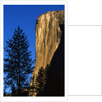 Sunlight Shining on El Capitan by Anonymous