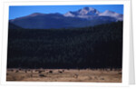 Elk Herd near Long's Peak by Anonymous