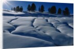 Hillside Covered in Snow by Anonymous