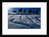Hillside Covered in Snow by Anonymous