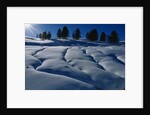 Hillside Covered in Snow by Anonymous