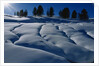 Hillside Covered in Snow by Anonymous