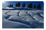 Hillside Covered in Snow by Anonymous