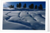 Hillside Covered in Snow by Anonymous