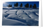Hillside Covered in Snow by Anonymous