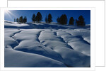 Hillside Covered in Snow by Anonymous