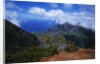 Hills Along the Napali Coast by Anonymous