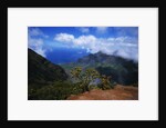 Hills Along the Napali Coast by Anonymous