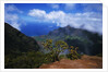 Hills Along the Napali Coast by Anonymous