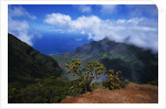 Hills Along the Napali Coast by Anonymous