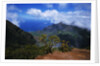 Hills Along the Napali Coast by Anonymous