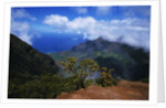 Hills Along the Napali Coast by Anonymous