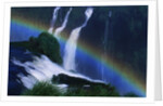 Rainbow Over Iguazu Falls by Anonymous