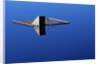 Diving Platform on Calm Lake by Anonymous