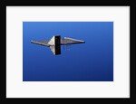 Diving Platform on Calm Lake by Anonymous