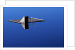 Diving Platform on Calm Lake by Anonymous