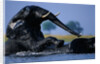 African Elephants Playing in River by Anonymous