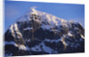 Snowcapped Mountain on Wiencke Island by Anonymous