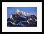Snowcapped Mountain on Wiencke Island by Anonymous