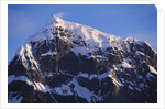 Snowcapped Mountain on Wiencke Island by Anonymous
