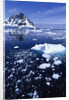 Icebergs in Lemaire Channel by Anonymous