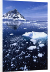 Icebergs in Lemaire Channel by Anonymous
