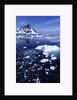 Icebergs in Lemaire Channel by Anonymous