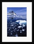Icebergs in Lemaire Channel by Anonymous